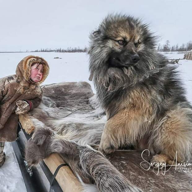 Удивительная жизнь Северо-Западной Сибири на снимках профессионального фотографа