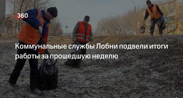 Коммунальные службы Лобни подвели итоги работы за прошедшую неделю