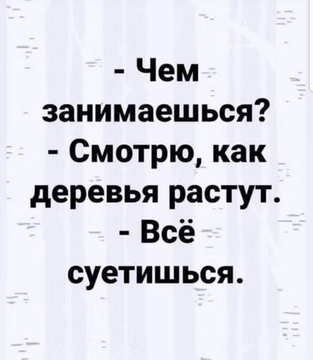 Непоседа Непоседа