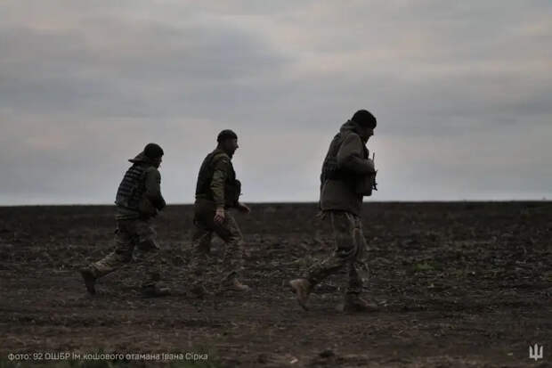 На Украине освободили от мобилизации сотрудников общественных организаций, получающих иностранные гранты
