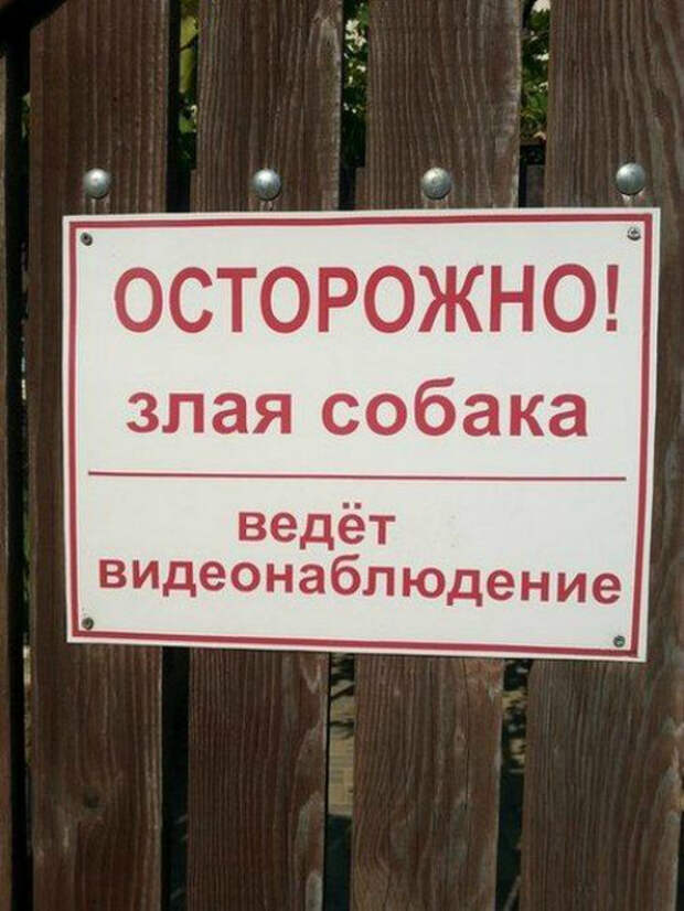Лучше любой камеры. Лучше любой камеры.