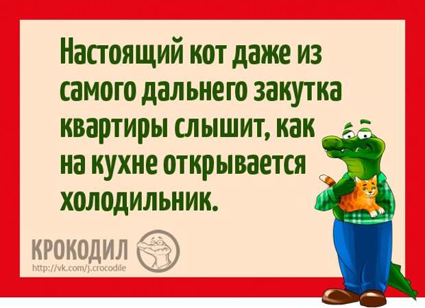 Ysn8xKokvMA