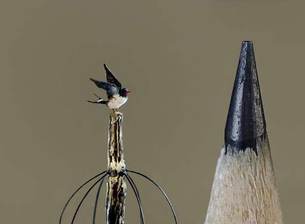 Ласточка красота, миниатюра, необычное, птицы, скульптура