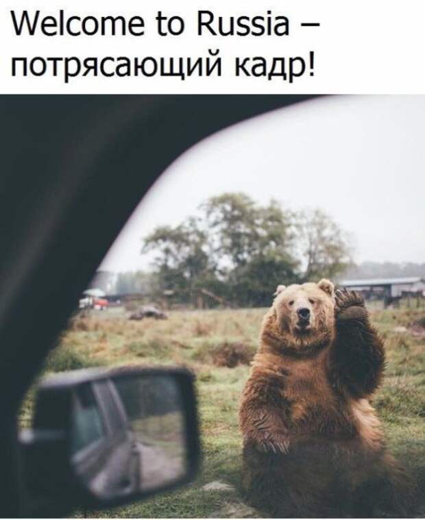1484509454_83