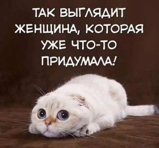 Внутри меня столько тепла и нежности, что хочется её кому-то дарить...