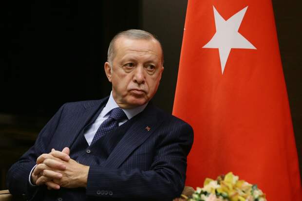 Эрдогану не нравится зависимость мира от «горстки стран»