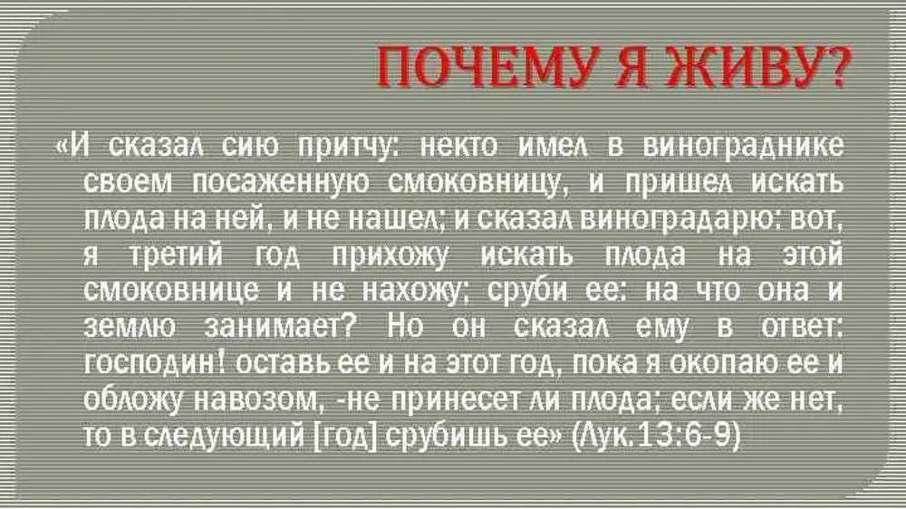 Занимает 13. Зачем я живу. Некто имел в винограднике своем посаженную смоковницу. Пришел искать плода на ней и не нашел. Сруби ее: на что она и землю занимает?.