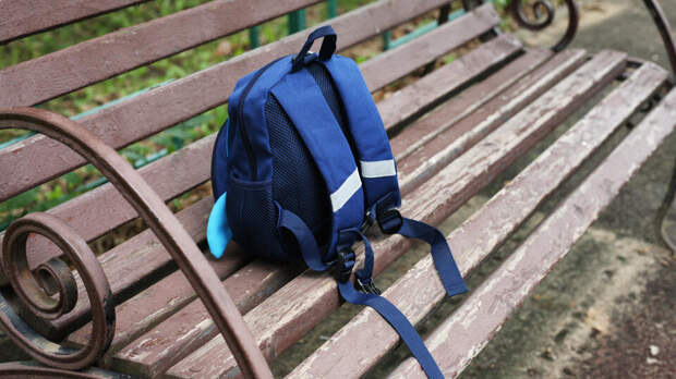 Погибшего под трактором в Зеленограде школьника подстрекала подруга