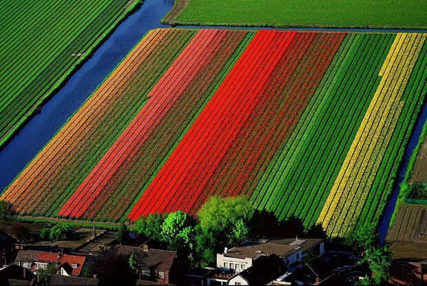 Yann Arthus-Bertrand