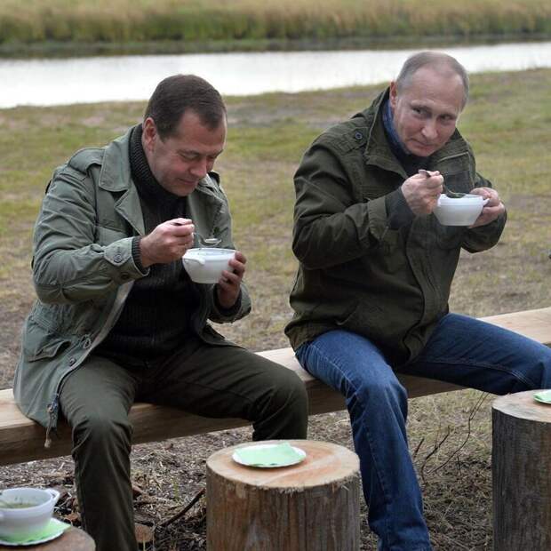 ДА голодающий
