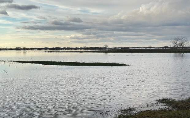 В Рязанской области под водой остаются мосты, дороги и приусадебные участки