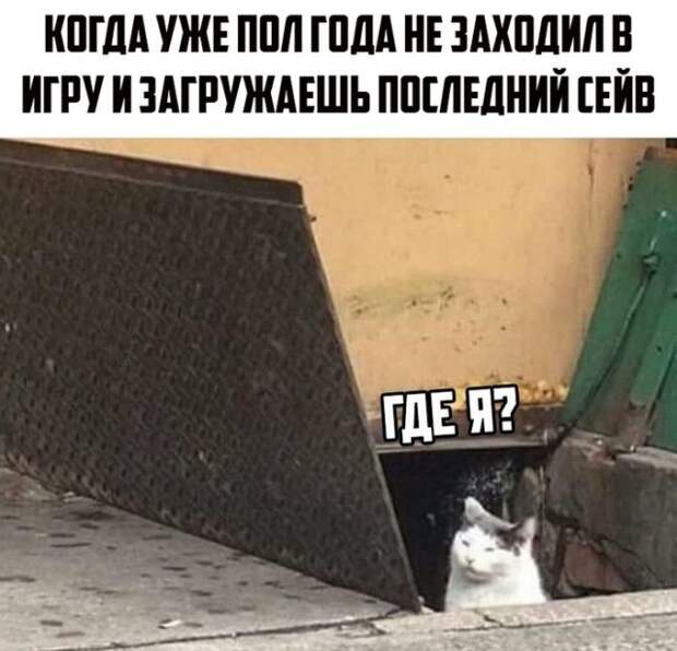 www.vsyako.net
