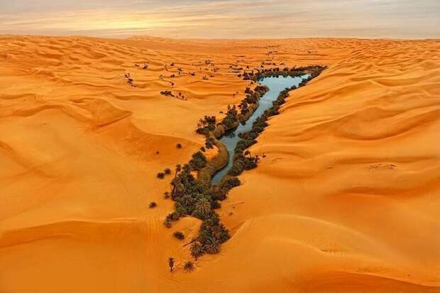 18. «Так выглядит оазис в Ливийской пустыне» в мире, вещи, кадр, красота, подборка, удивительно, фото