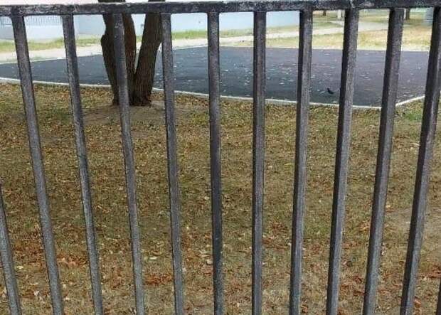 Пришкольную территорию на Мячковском бульваре облагородили