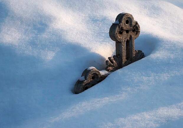 В лесу возле интерната для душевнобольных в Кузбассе нашли могилы и сняли на фото