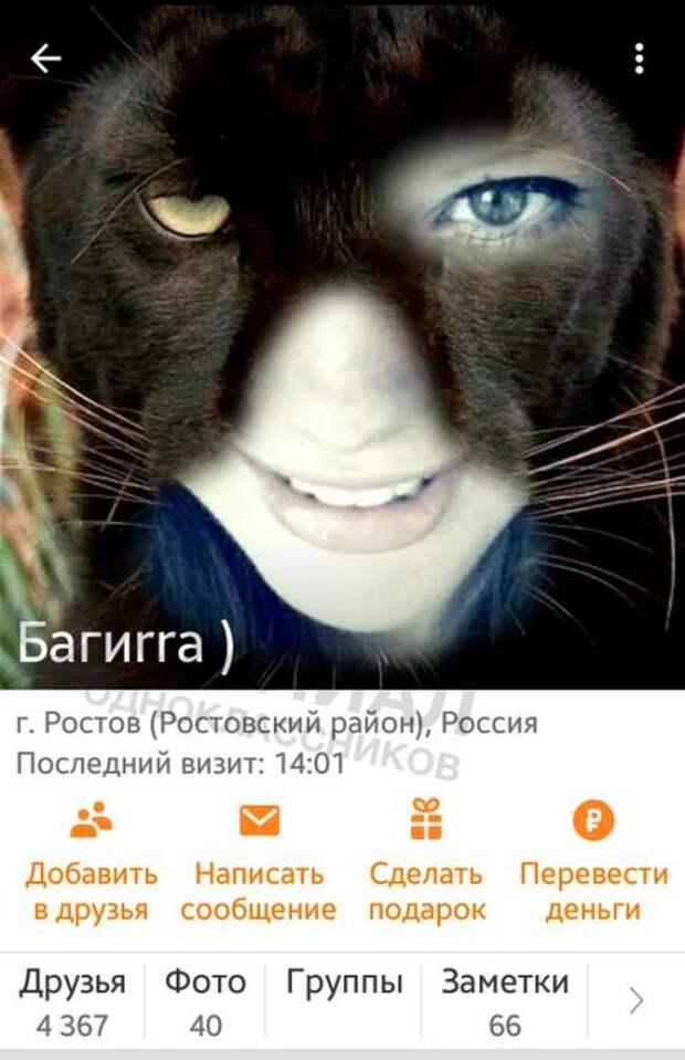 Странный юмор из «Одноклассников» (44 скриншота)