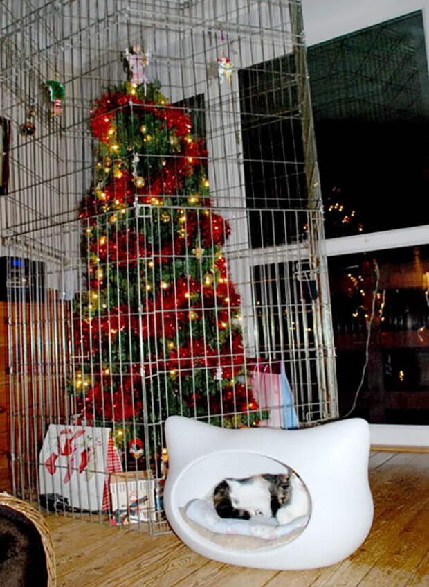 Фотография: Как защитить новогоднюю елку от вредных и дерзких домашних животных №22 - BigPicture.ru