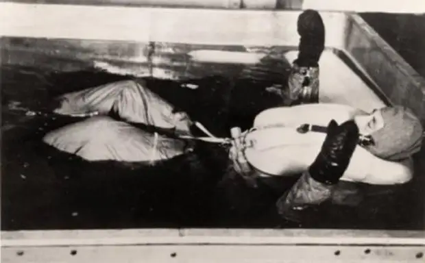 Интересные факты, которые удивят и шокируют вас