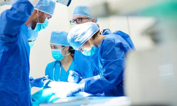 Еще недавно казалось фантастикой: впервые в России пациентам начали пересаживать чужие руки