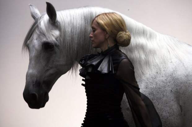14 звезд кино, известных любовью к лошадям (15 фото) животные, кино, лошадь, фильм