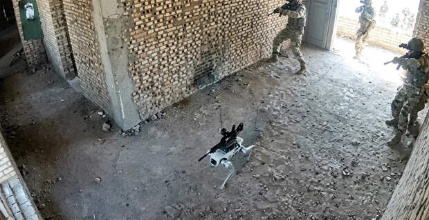 «Пусти вперёд робота-собаку»: в Китае показали кадры учений со штурмом здания