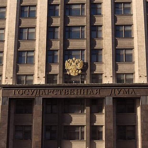 В Госдуме предложили отменить один налог для многодетных семей