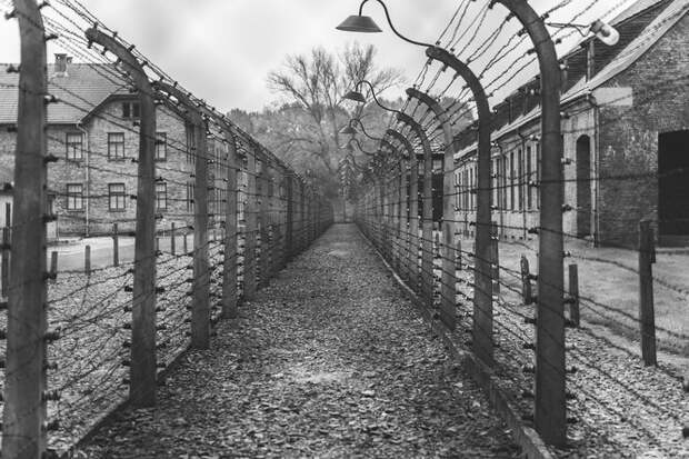 Не только голод и стресс: почему у женщин прекращались менструации по прибытии в нацистские лагеря смерти