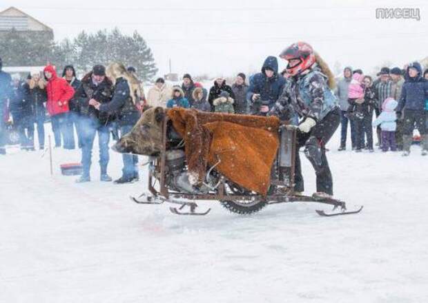 Зимние приколы. Сезон в самом разгаре!