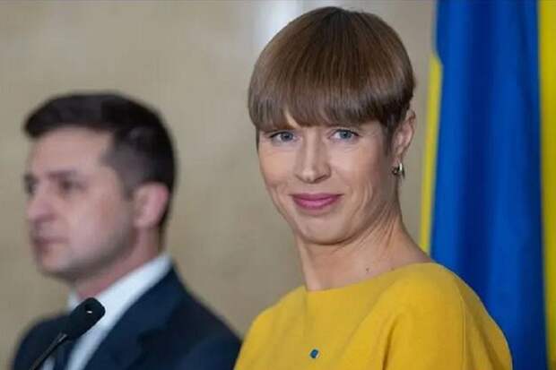 Президент Эстонии против вступления нынешней Украины в НАТО и ЕС
