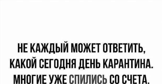 Смешные комментарии. Подборка chert-poberi-kom-chert-poberi-kom-36410623082020-16 картинка chert-poberi-kom-36410623082020-16