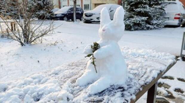 Теплая зима в Барнауле / Фото: amic.ru