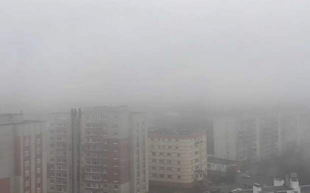 МЧС: Рязанскую область 27 марта накроет туман с видимостью в 200 м