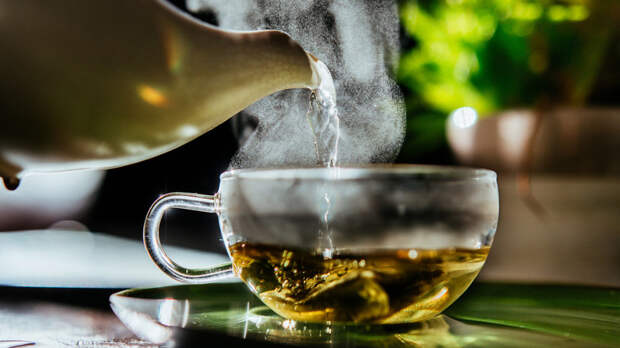 Нутрициолог Бурлакова посоветовала не злоупотреблять травяным чаем