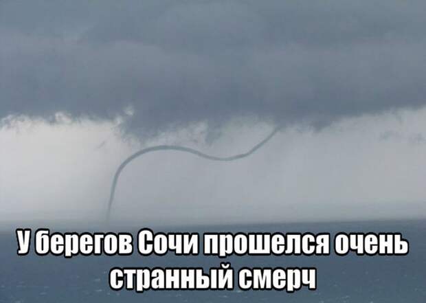 Веселые и прикольные надписи к картинкам (11 фото) Веселые и прикольные надписи к картинкам (11 фото)