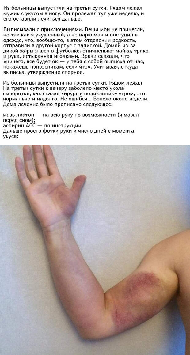 www.vsyako.net