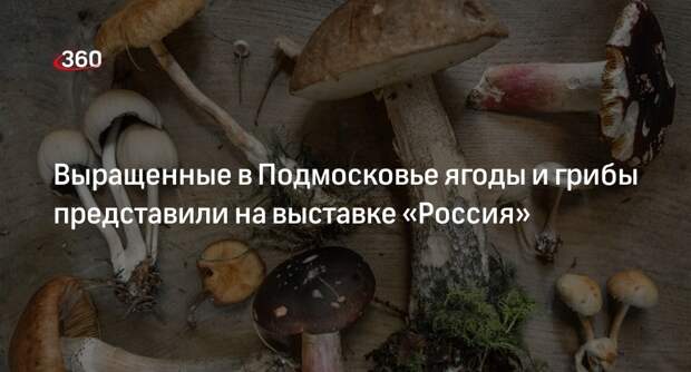 Выращенные в Подмосковье ягоды и грибы представили на выставке «Россия»