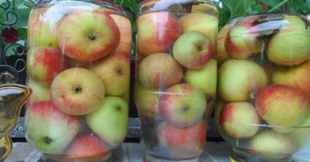 Самый простой рецепт моченых яблок. До зимы не достоят, разлетаются!