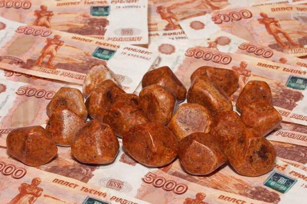 Теневой рынок желчных камней: как россияне зарабатывают на необычном товаре