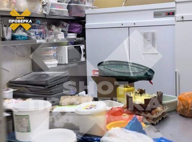 SHOT: в пекарне в жилом доме в Ростове на-Дону обнаружили полную антисанитарию