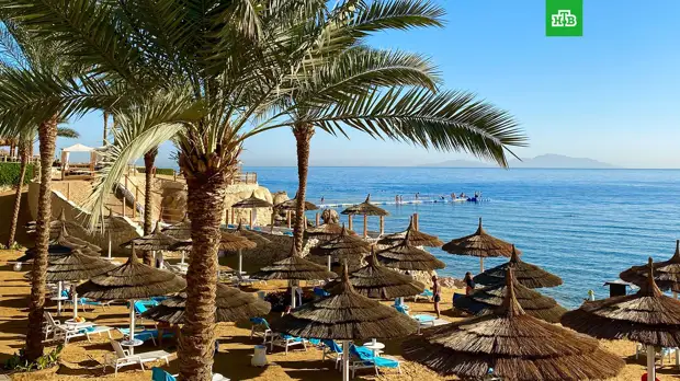 Ростуризм запустит перевозки на базе чартеров в Египет и Турцию