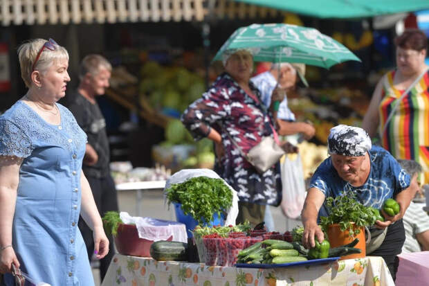 Российских дачников предупредили о новом штрафе в 50 тысяч рублей