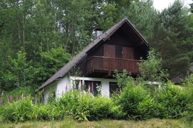 Дача без грядок: почему отказ от огорода становится трендом