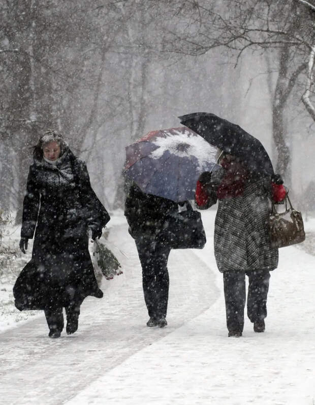 Смертоносный снегопад в Японии: погибли 28 человек, несколько сотен ранены