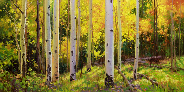 Gary Kim. Aspen Symphony Gary Kim. Aspen Symphony
