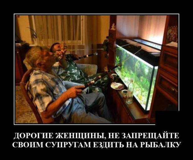 Демотиваторы 8 сентября 2021 года