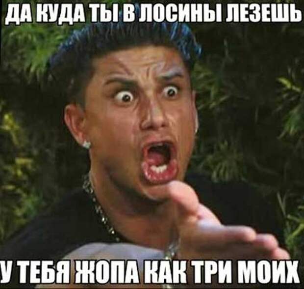 Похожее изображение
