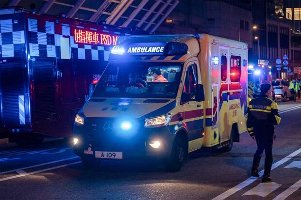 Сбежавший кот погубил хозяина