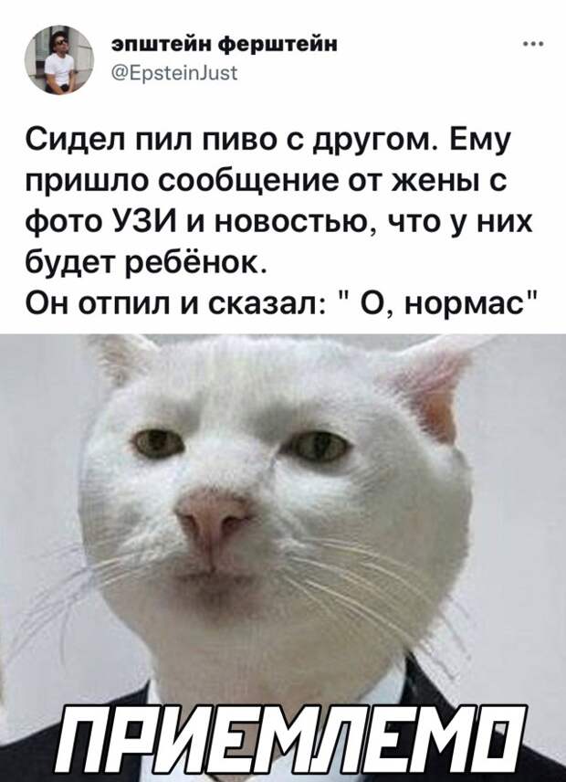 Смешные картинки 28 октября 2021 года
