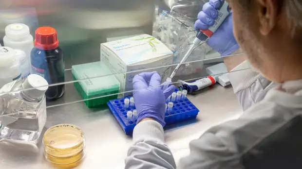 Уровень коллективного иммунитета к коронавирусу в Москве достиг 72,1%