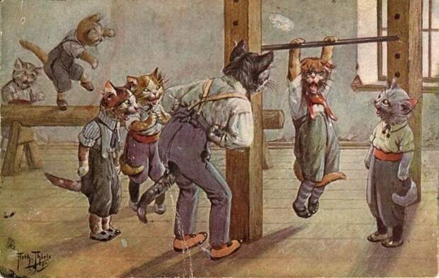 Немецкие ученые котики на старых открытках